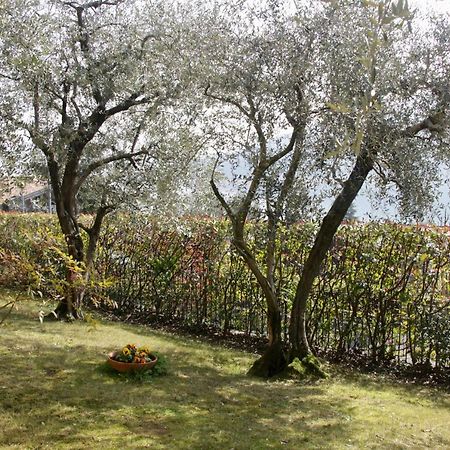 Sarnico Giardino Sul Lago Eksteriør bilde